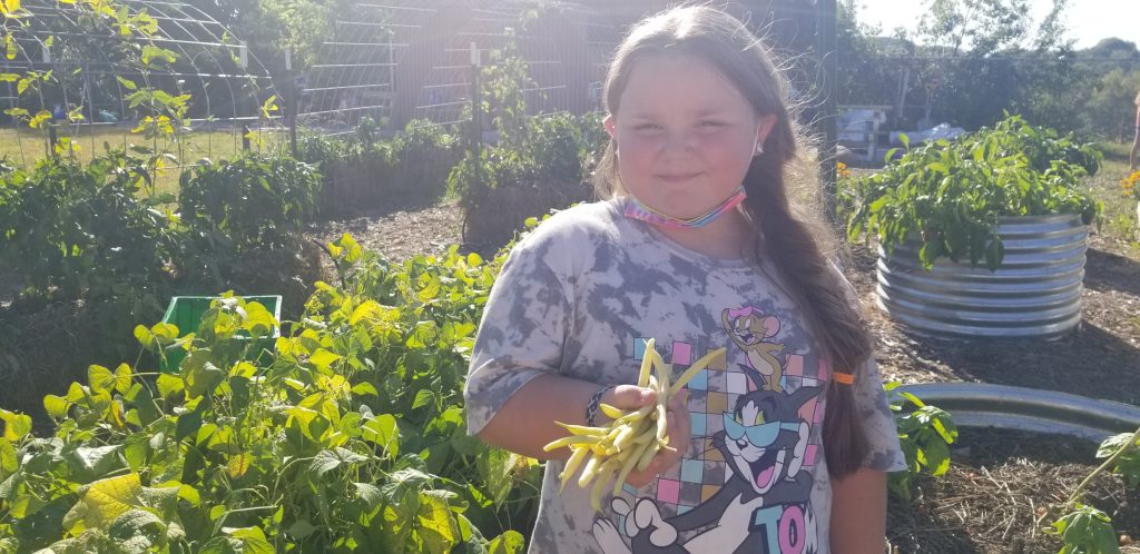 Elementary-aged girl with long hair smiling in the foreground, one hand holding yellow beans, with bright sunshine and garden beds in the background.