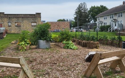 Growing Together WI Garden Revives Historic Plot & Community Conversations